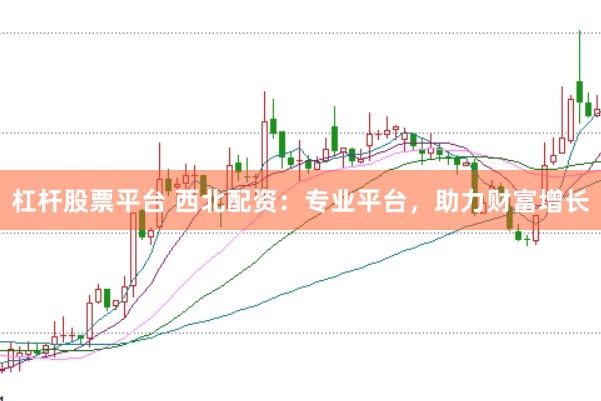 杠杆股票平台 西北配资：专业平台，助力财富增长
