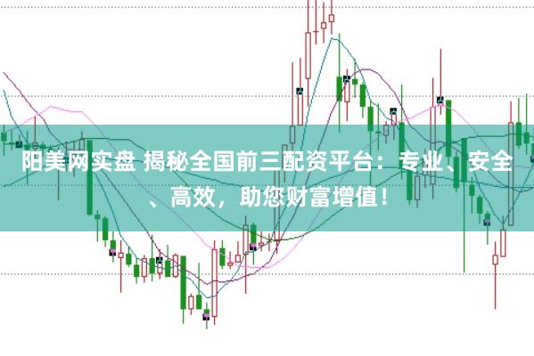 阳美网实盘 揭秘全国前三配资平台：专业、安全、高效，助您财富增值！