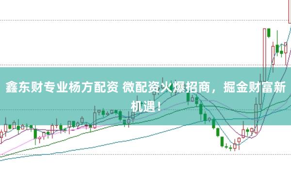 鑫东财专业杨方配资 微配资火爆招商，掘金财富新机遇！