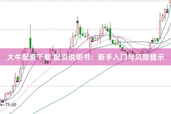 大牛配资下载 配资说明书：新手入门与风险提示