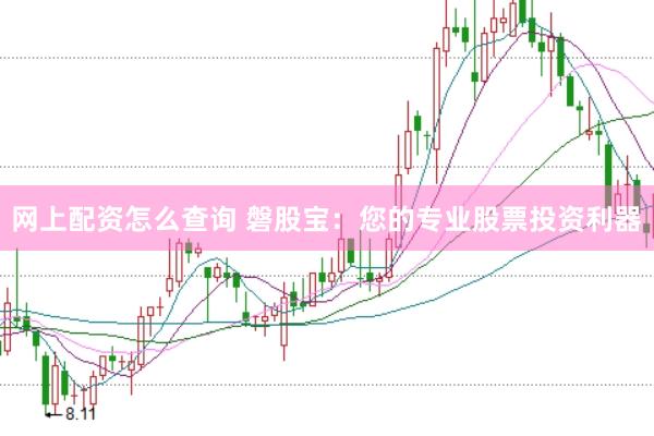 网上配资怎么查询 磐股宝：您的专业股票投资利器