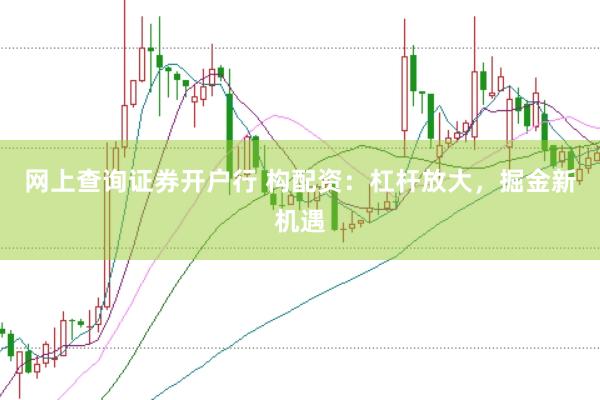 网上查询证券开户行 构配资：杠杆放大，掘金新机遇