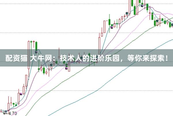 配资猫 大牛网：技术人的进阶乐园，等你来探索！