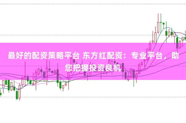 最好的配资策略平台 东方红配资：专业平台，助您把握投资良机