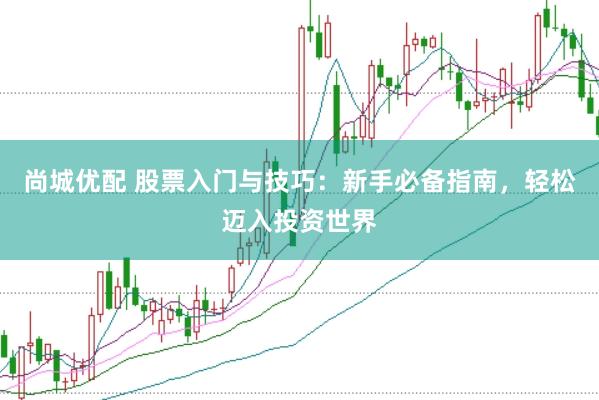 尚城优配 股票入门与技巧：新手必备指南，轻松迈入投资世界