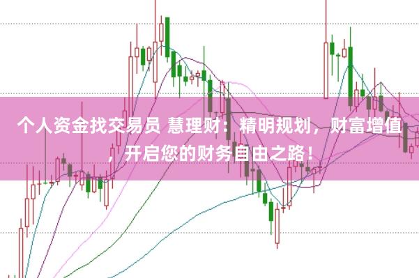 个人资金找交易员 慧理财：精明规划，财富增值，开启您的财务自由之路！