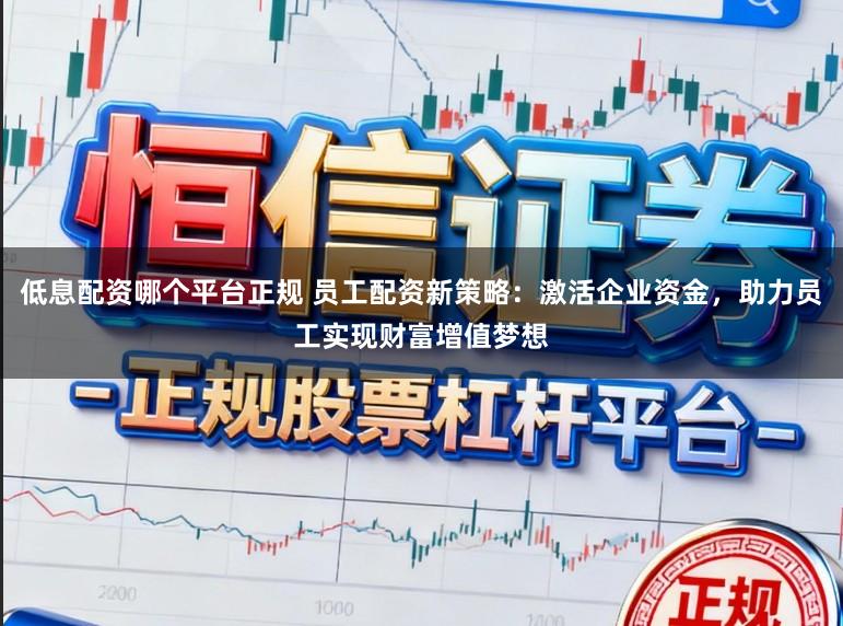 低息配资哪个平台正规 员工配资新策略：激活企业资金，助力员工实现财富增值梦想